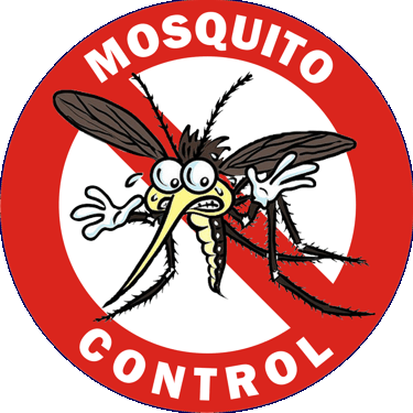 rimedi naturali per allontanare le zanzare